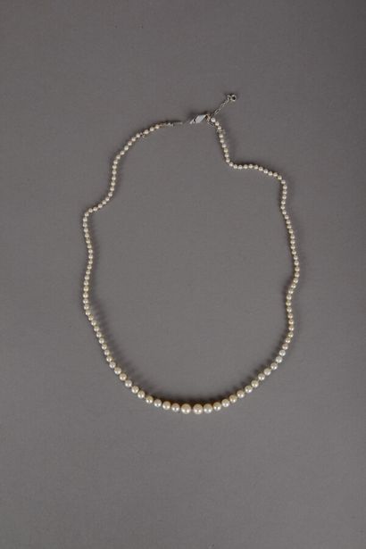 null Collier de 123 perles fines en chute de couleur blanc crème, diamètre des perles...