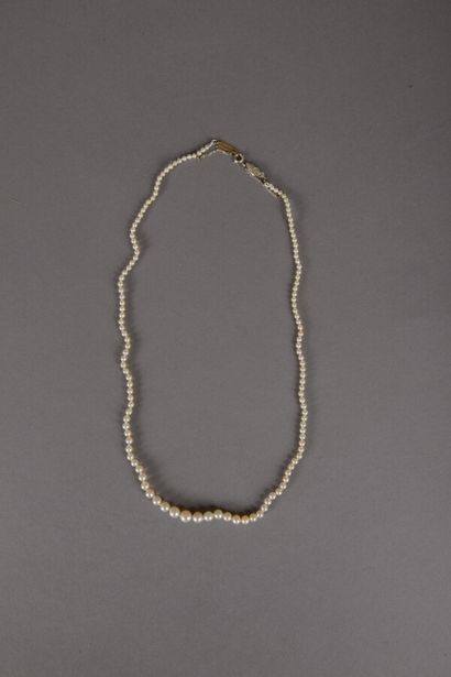 null Collier de 135 perles fines en chute de couleur blanc crème, diamètre des perles...