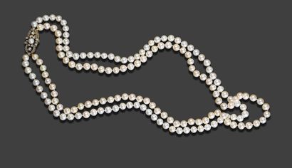 null Large necklace with two rows of cultured pearls, oblong white gold clasp set...