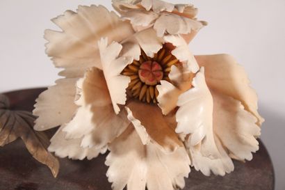 null Deux fleurs en ivoire finement sculptées

Japon, début du XXème siècle

L.:...