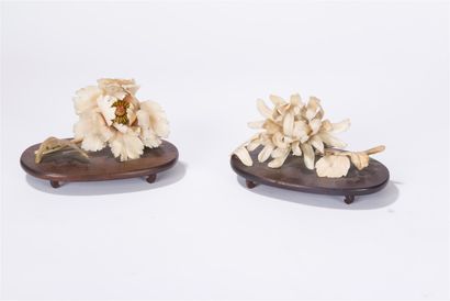 null Deux fleurs en ivoire finement sculptées

Japon, début du XXème siècle

L.:...