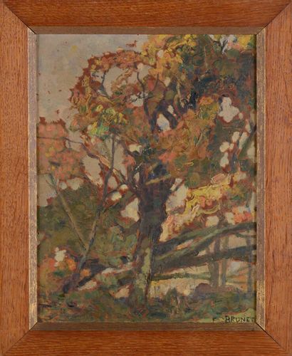 null Émile BRUNET (1869-1943)

Étude d'arbre

Huile sur papier signé en bas à droite.

32,5...