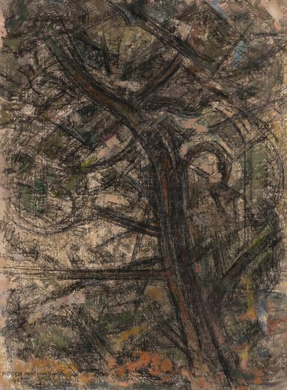 null Roger MATHIAS (1884-1971)

Le pin noir, 1969

Huile sur toile signée et datée...