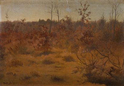 Rosa BONHEUR (1822-1899) 
Automne sur les...