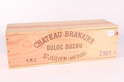 null 2001 - Duluc de Branaire Ducru

Saint-Julien Rouge - 1 mag CBO