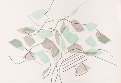 null André BEAUDIN (1895-1979)


Tree and leaves, 1966


Lithograph in colors, signed...