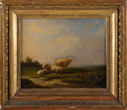 null François VAN DEVERDONK (1848-1875)


Mouton et coq


Panneau signé en bas vers...