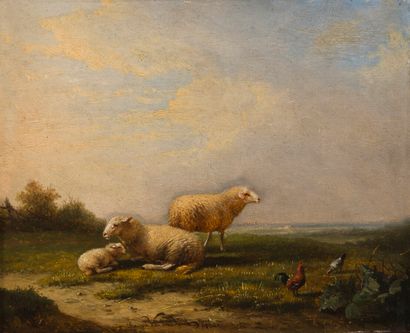null François VAN DEVERDONK (1848-1875)


Mouton et coq


Panneau signé en bas vers...