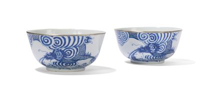 null Paire de bols en porcelaine bleu blanc

Vietnam, XIXème siècle

A décor de dragons...