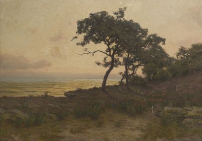 null Léon BOPP DU PONT (1848-1903)
Crépuscule à Noirmoutier
Huile sur toile, signée...