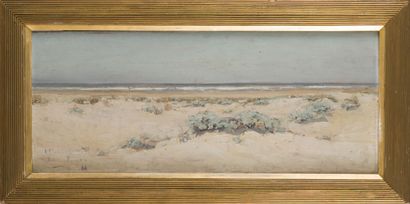 null William DIDIER-POUGET (1864-1959)
Les Choux de mer, Cap Ferret, 1888
Huile sur...
