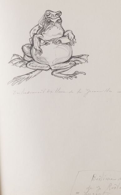 null Anny FOURTINA (1912-1967)
Etudes : pipistrelles, grenouilles, poissons, insectes,...