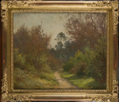 null Louis-Augustin AUGUIN (1824-1903)
Forest path
Oil on canvas signed lower left.
46...