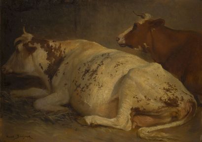 null Rosa BONHEUR (1822-1899)
White cow lying down
Oil on paper mounted on canvas,...