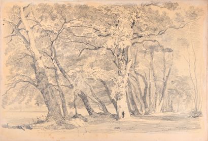 null Leo DROUYN (Izon, 1816-Bordeaux, 1896)
Sketches and drawings, L to V
Set of...