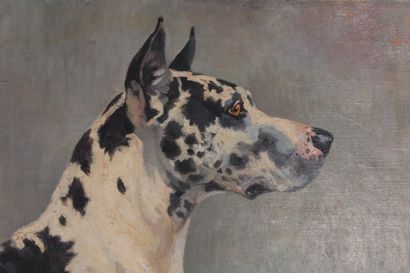 null Odette DURAND (1885-1972) dite DETT

"Roxanne"

Portrait d'un dogue allemand

97...