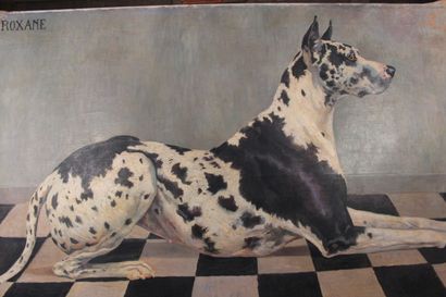 null Odette DURAND (1885-1972) known as DETT

"Roxanne"

Portrait of a great dane

97...