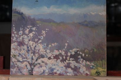 null Odette DURAND (1885-1972) known as DETT

"Landscapes

Set of 8 oils on cardboard

Between...