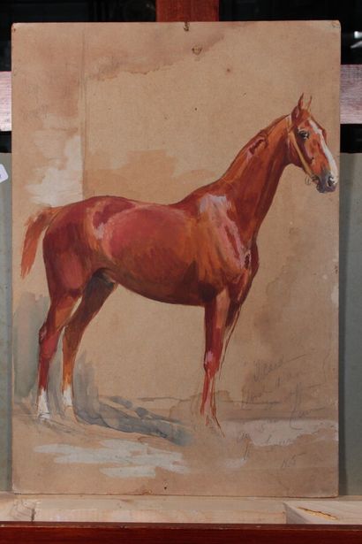 null Odette DURAND (1885-1972) known as DETT

"Study of Melpomène, brood mare".

Watercolor...