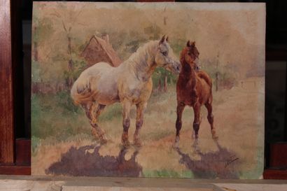 null Odette DURAND (1885-1972) known as DETT

"Studies of horses

Set of 6 watercolors...