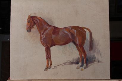 null Odette DURAND (1885-1972) known as DETT

"Portrait of a horse

Oil on canvas...
