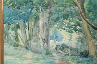 null School early XXth

"Edge of the forest".

Watercolor signed lower left "Raoul...