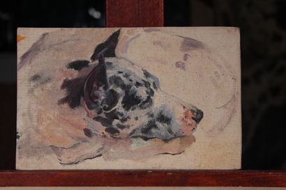 null Odette DURAND (1885-1972) known as DETT

"Roxanne"

Portrait of a great dane

97...