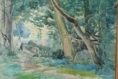 null School early XXth

"Edge of the forest".

Watercolor signed lower left "Raoul...