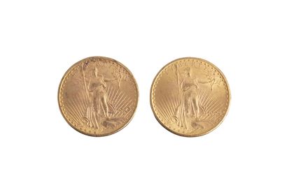 null Etats-Unis : 2 pièces de 20 Dollars Saint Gaudens 1923 et 1924. qSUP



Non...