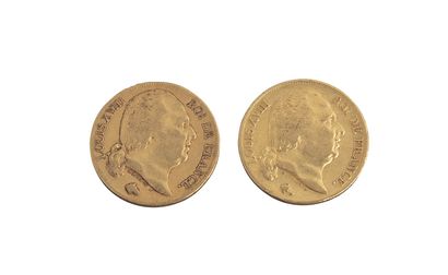 null Louis XVIII. 2 pièces de 20 Francs 1818 A et 1820 A. TB+



Non reproduit au...