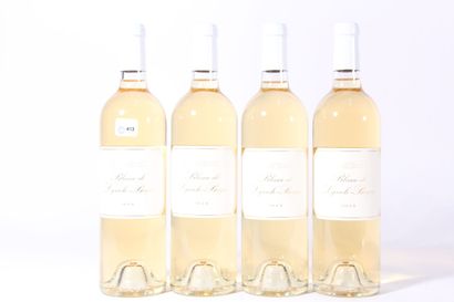 null 2018 - Blanc de Lynch Bages
Bordeaux Blanc - 4 blles