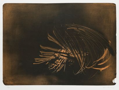 null Hans HARTUNG (1904-1989)
Farandole
Lithographie en couleurs numérotée 21/75,...