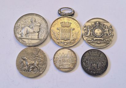 null Lot of 6 various silver medals : Canine Society, CDC, Fanfare, Steelworks, Hospices....