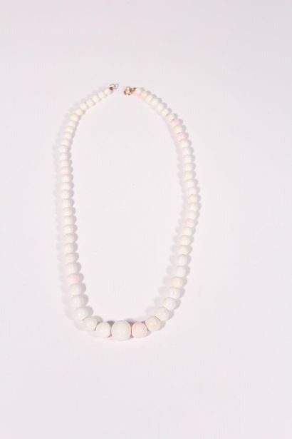 Necklace of white conch pearls in fall, length...
