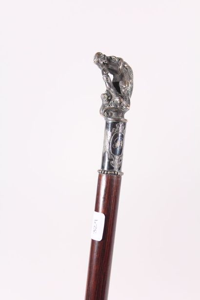 Historical cane, the shaft in rosewood, the...