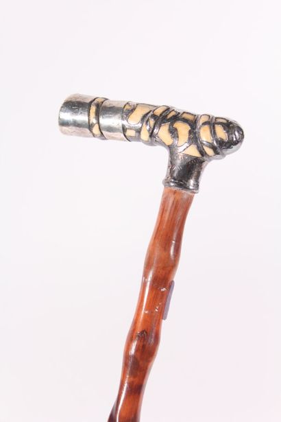 null Cane, the shaft in gnarled wood, the pommel square wrapped with a silver net,...