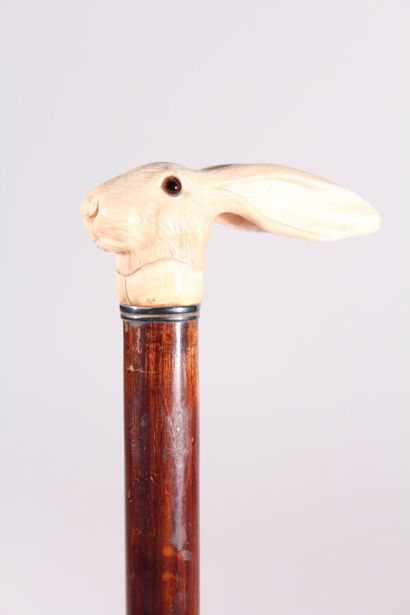 null Cane, the pommel in ivory in the shape of a hare's head, the eyes in sulphur,...