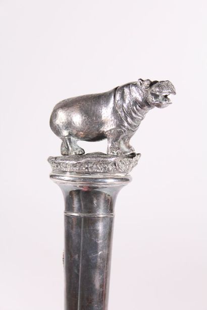 null Important cane in wood and silver plated metal the knob representing a hippopotamus,...