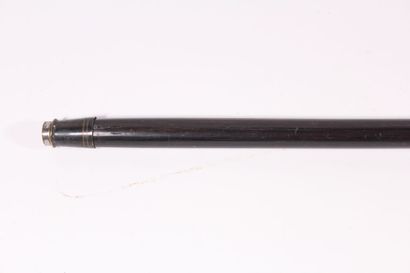 null Cane, the shaft in rosewood with mother-of-pearl inlays forming patterns of...