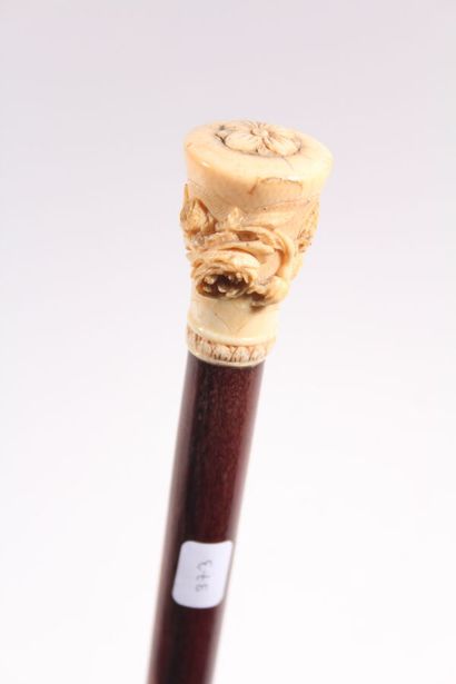 Cane, the shaft in exotic wood, pommel Milord...