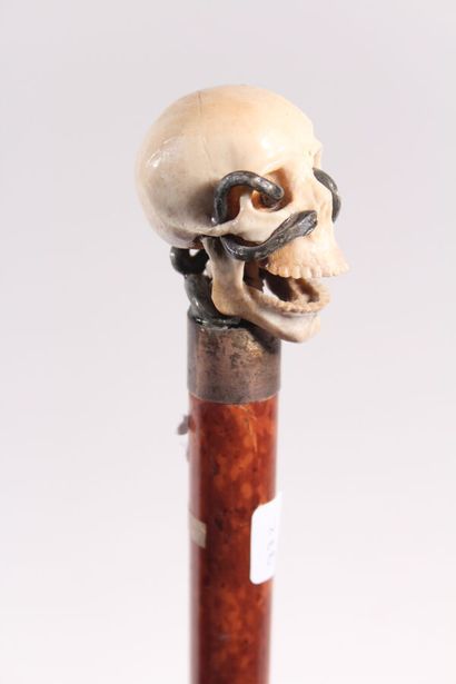 null English cane memento mori, the shaft in burr, the ring in silver, the pommel...