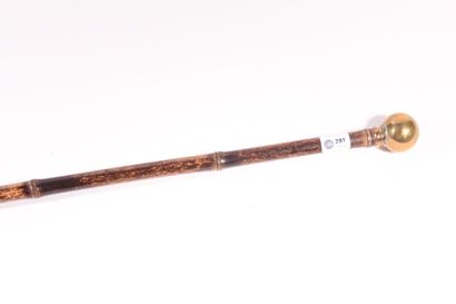Cane with system, the shaft in bamboo, the...