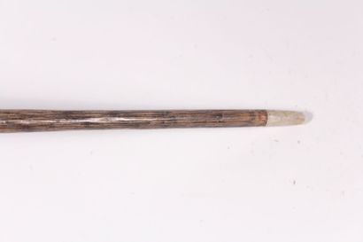 null Cane, the pommel with head of parrot in painted wood, the eyes in glass, the...