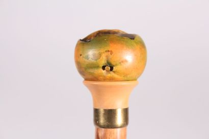 null Cane, the round handle out of carved and painted wood with decoration of a wasp...