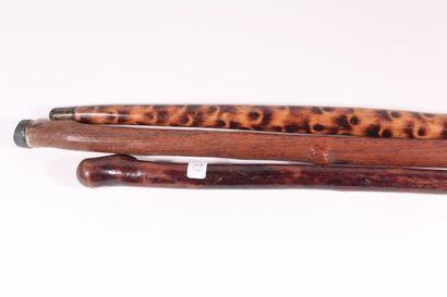 null A set of three canes monxyles: a cane with painted decoration speckled length...