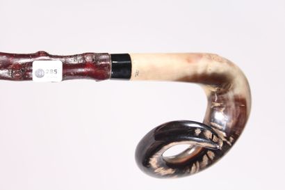 null Cane, the shaft in knotty wood, the knob in curved horn engraved PC. Length...