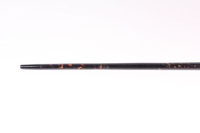 null Straight cane in tortoiseshell veneer, the ferule in black wood. Length 89 ...