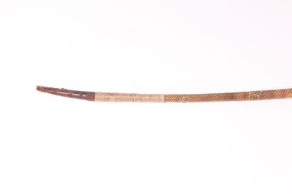 null Whip, the shaft sheathed with snake skin and braided leather rings, the pommel...