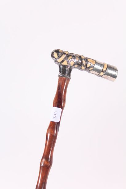 Cane, the shaft in gnarled wood, the pommel...