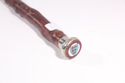 null English cane, the shaft in gnarled wood, the round flared pommel in enamelled...